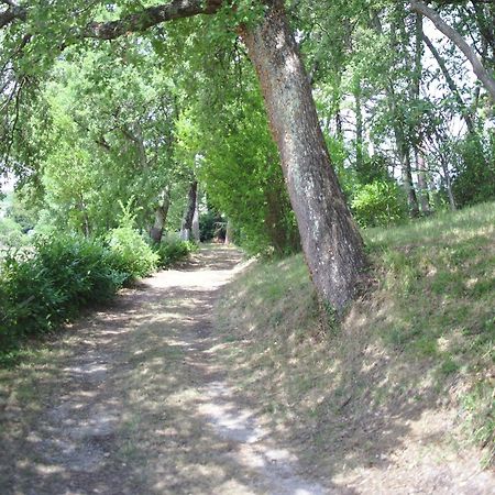 Lovely Holiday Home In Montefiridolfi With Hill View Exterior photo